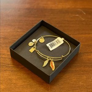Brand new Team USA Track + Field Duo Charm Alex and Ani Bangle